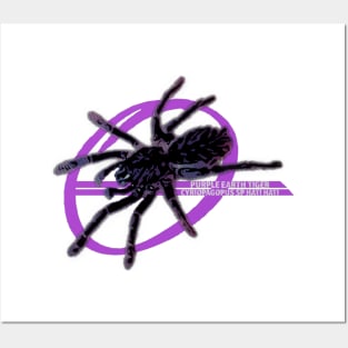 Purple Earth Tiger Tarantula Posters and Art